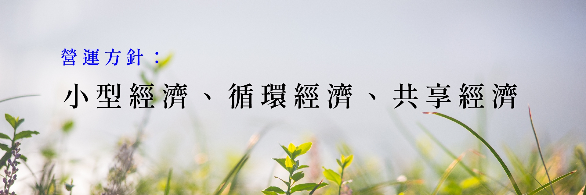 小型經濟  循環經濟  共享經濟